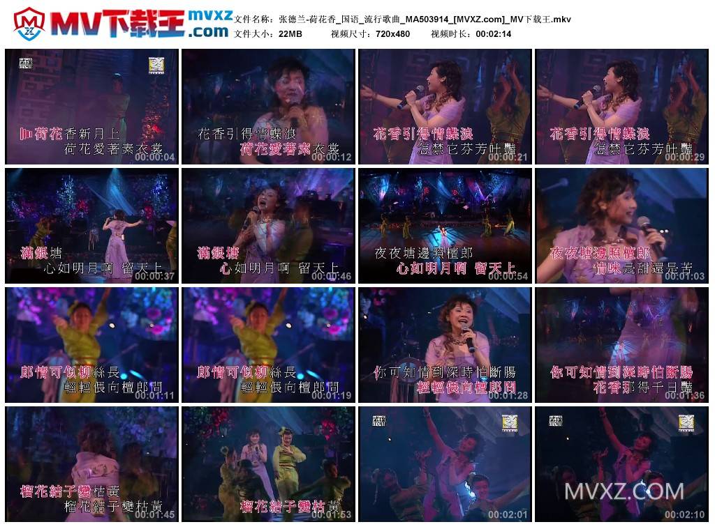 张德兰-荷花香_国语_流行歌曲_MA503914